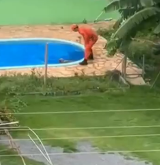 Militares pularam muro de casa para resgatar animal por Reprodução