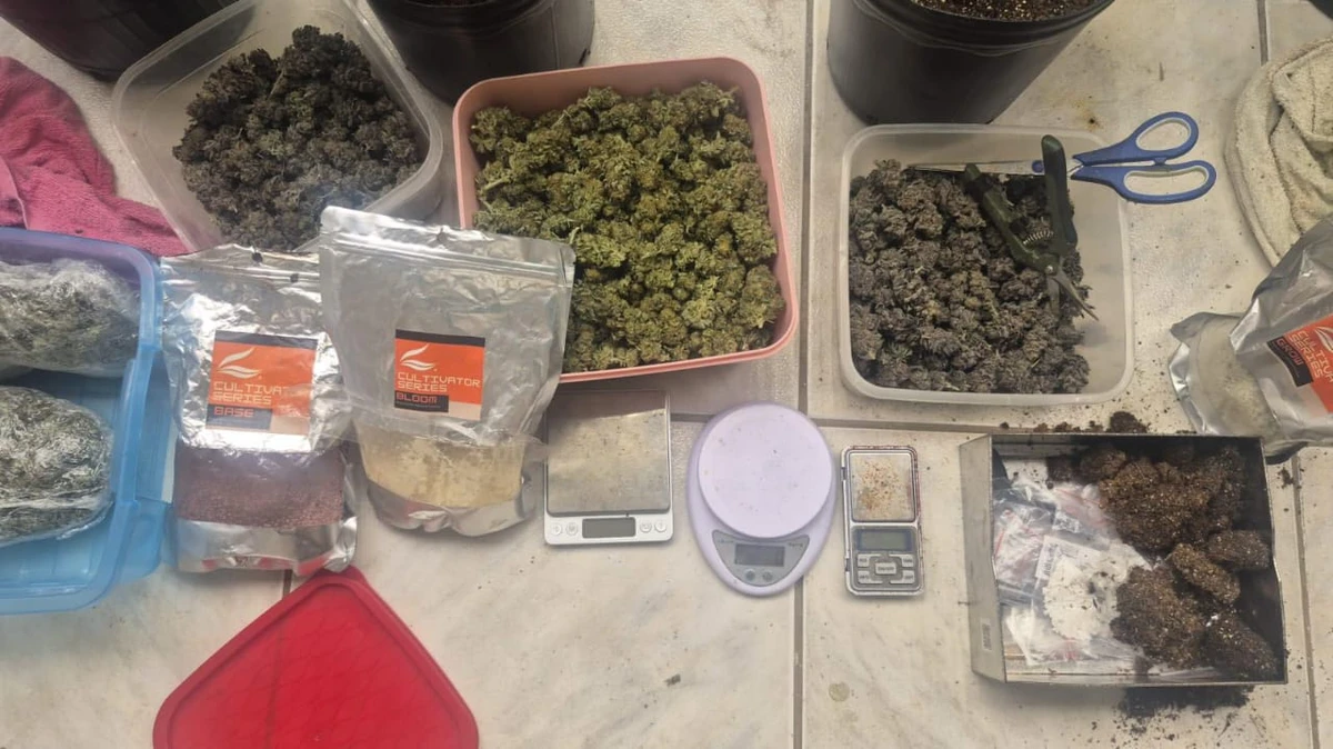 Estufa para produção de maconha foi localizada no bairro da Lapinha, em Salvador por Guilherme Santos/Ascom-PCBA