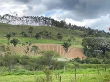 Imagem - Quer provar o famoso mel de Marcos Palmeira? Saiba como ter na sua casa