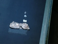 Imagem - Descoberta de 2,6 milhões de anos muda a visão sobre a evolução e o futuro do homem na Terra