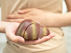 Imagem - Hepatologista explica o que mais tende a provocar o colapso do fígado