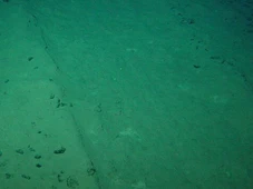 Imagem - Mistério embaixo d'água: cientistas investigam surgimento de ‘esferas de metal’ no fundo do oceano