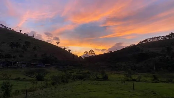 Casa de Marcos Palmeira por Reprodução