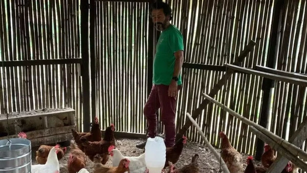 Casa de Marcos Palmeira por Reprodução