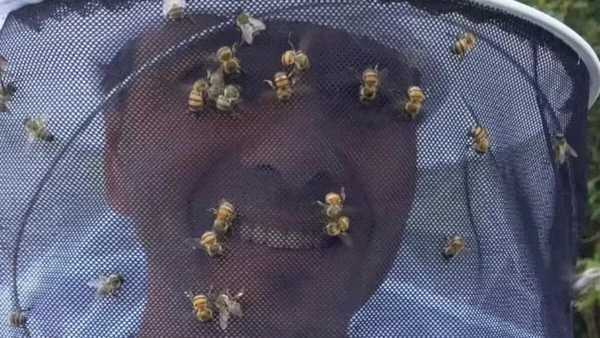 Casa de Marcos Palmeira por Reprodução