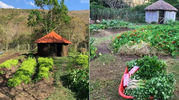 Casa de Marcos Palmeira por Reprodução