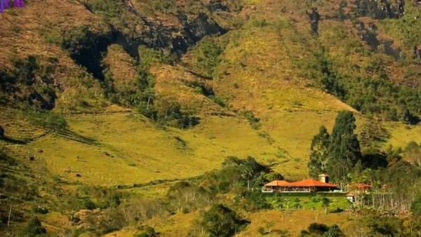Casa de Marcos Palmeira por Reprodução