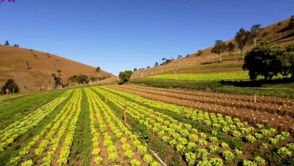 Casa de Marcos Palmeira por Reprodução