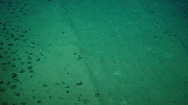 O estudo revelou que os nódulos, medindo cerca do tamanho de uma batata, possuem carga elétrica própria e ativa