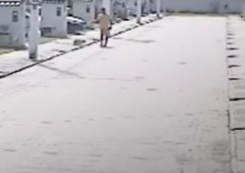 Caso foi registrado em Teixeira de Freitas por Reprodução