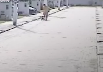 PM vai a júri popular 11 anos após atirar contra vizinha e cachorros na Bahia por Reprodução