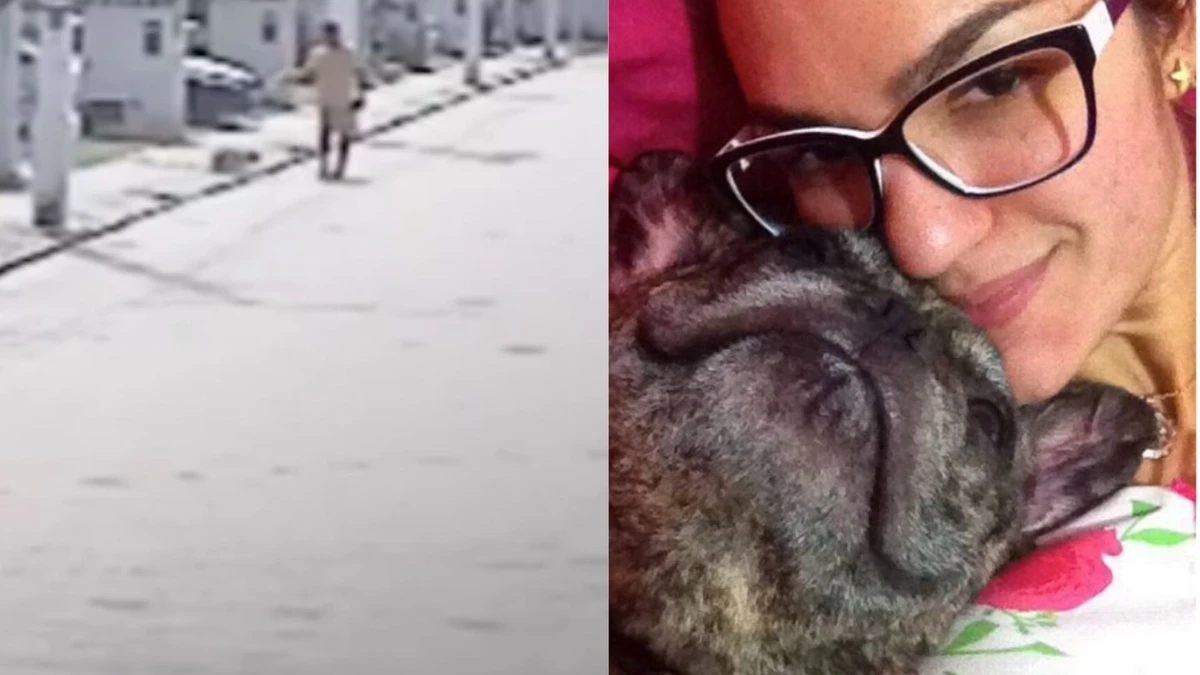 Policial matou cachorro após desentendimento com a vizinha