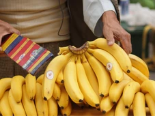 Imagem - A curiosa história por trás da expressão pejorativa 'república das bananas'