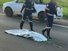 Imagem - Mulher atropelada e dada como morta por engano recebe alta da UTI