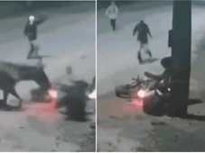 Imagem - VÍDEO: cavalo solto em pista derruba motociclista e ajuda ladrões em roubo