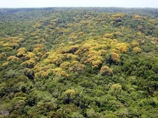 Imagem - Por que as reservas particulares são fundamentais para proteger a água em tempos de crise climática