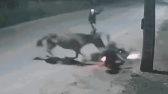 Ladrões roubaram motociclista por Reprodução