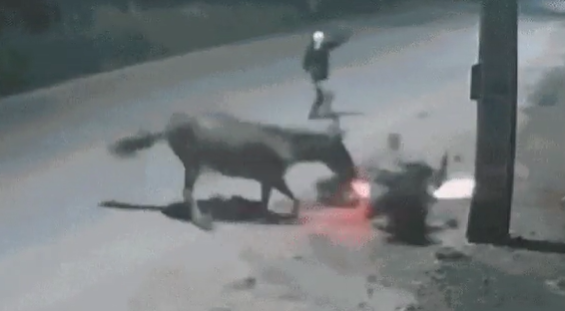 Ladrões roubaram motociclista por Reprodução