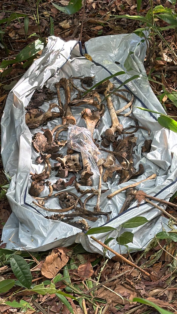 Ossada encontrada em mata de Itaparica pode ser de ambulante mineiro desaparecido por Reprodução