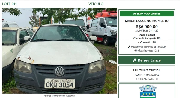 Vejas alguns itens do leilão por Reprodução