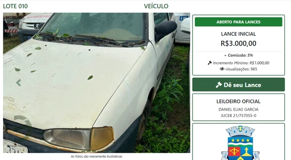 Vejas alguns itens do leilão