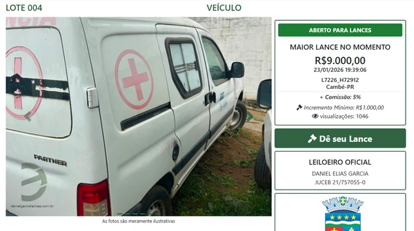 Vejas alguns itens do leilão por Reprodução