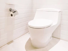 Imagem - Privada de luxo japonesa muda hábito comum nos banheiros e deixa turistas intrigados