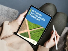 Imagem - Instituto lança ebook gratuito sobre os vinhos do Vale do São Francisco