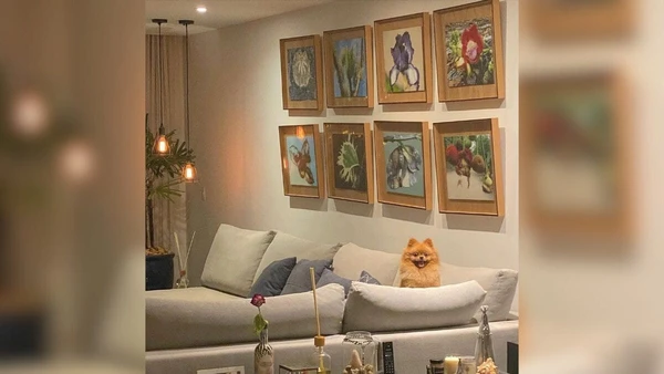 Casa de Grazi Massafera por Reprodução