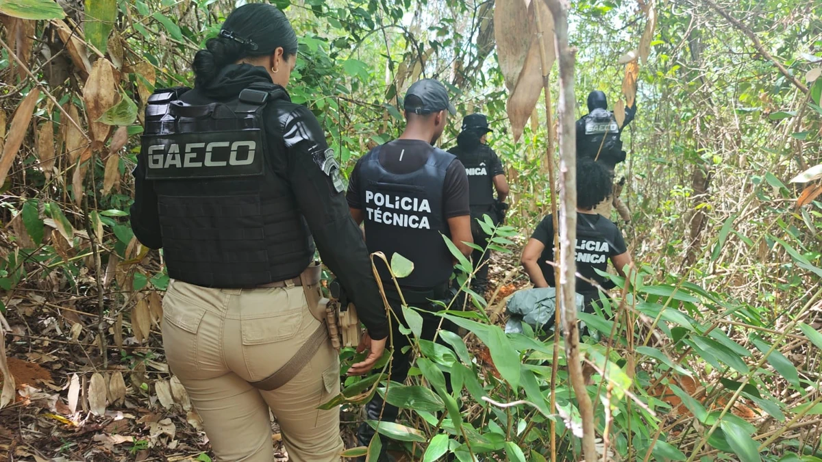 Cemitério clandestino localizado no sul da Bahia por Divulgação