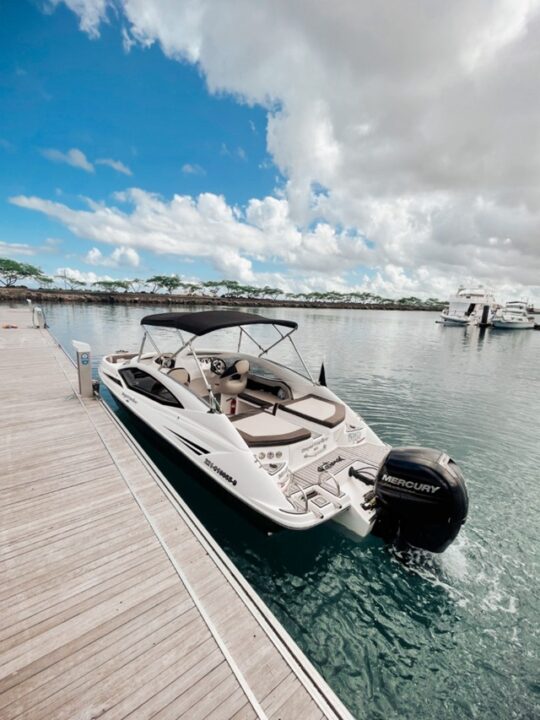 ancha Salvador na Categoria Grafitte