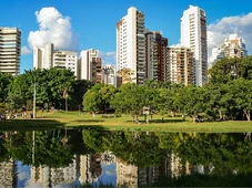 Imagem - A capital brasileira que conseguiu reduzir calor extremo ao plantar mais de 1 milhão de árvores