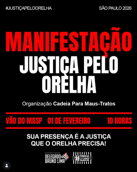 Cartazes sobre atos pelo cão Orelha no Brasil por Reprodução