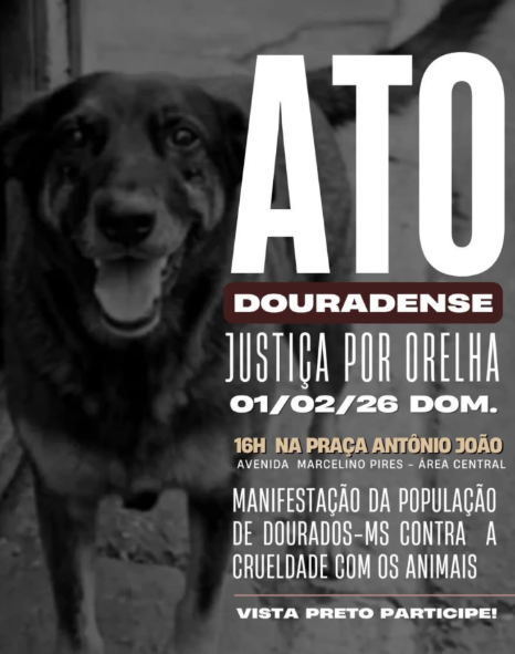 Cartazes sobre atos pelo cão Orelha no Brasil por Reprodução