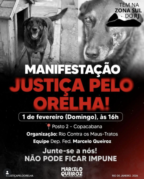 Cartazes sobre atos pelo cão Orelha no Brasil por Reprodução