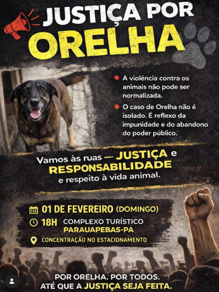 Cartazes sobre atos pelo cão Orelha no Brasil por Reprodução