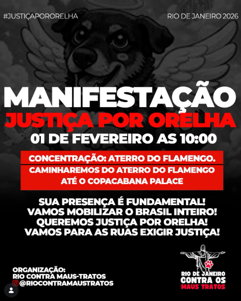 Cartazes sobre atos pelo cão Orelha no Brasil por Reprodução