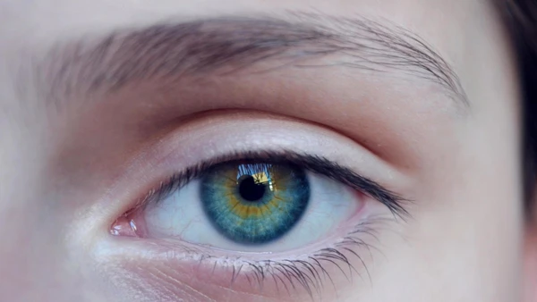 Elas protegem os olhos, mas ganharam relevância por outro motivo decisivo