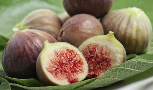 Figo possui uma anatomia peculiar, sendo uma flor voltada para dentro que protege seu sistema reprodutivo de invasores comuns por Reprodução 