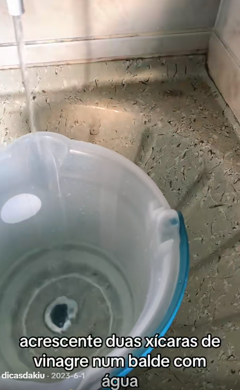 Limpeza de roupas por Reprodução