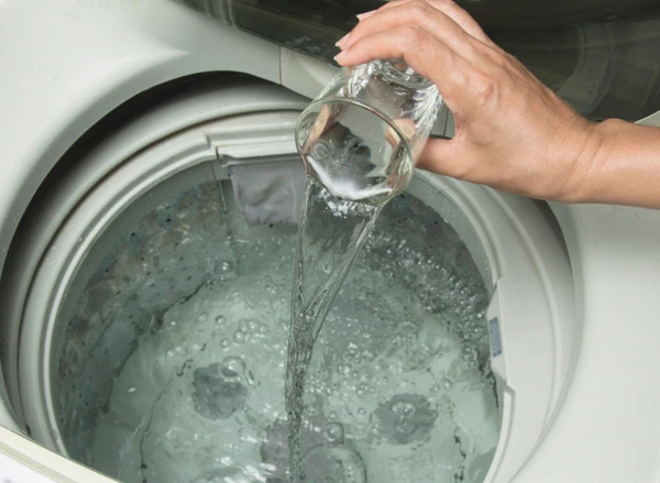 Limpeza de roupas por Reprodução