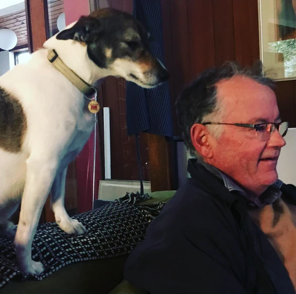 As escavações revelaram ainda pratarias e itens valiosos que custam milhares de dólares hoje por Reprodução | Redes Sociais