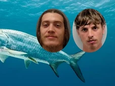 Imagem - Peixe de 1,4 metro morre após ser retirado de aquário por dois homens para fazer foto