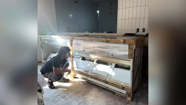 Casa de Daphne Bozaski por Reprodução