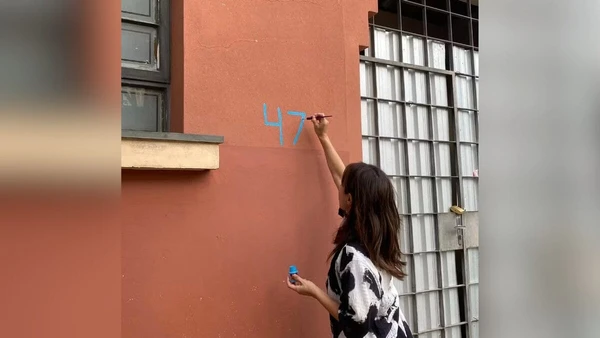 Casa de Daphne Bozaski por Reprodução