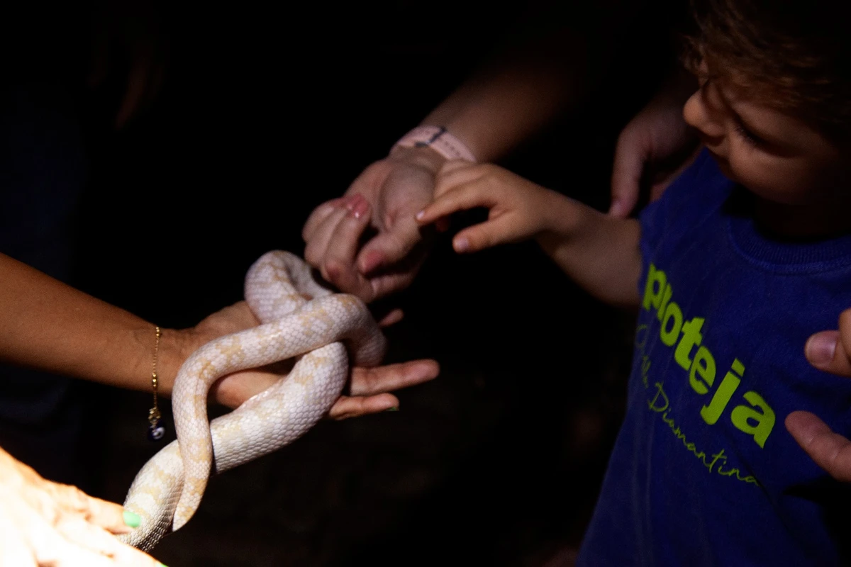 O público pôde tocar na pele de Pérola e descobriram que era gelada por Sora Maia/CORREIO 