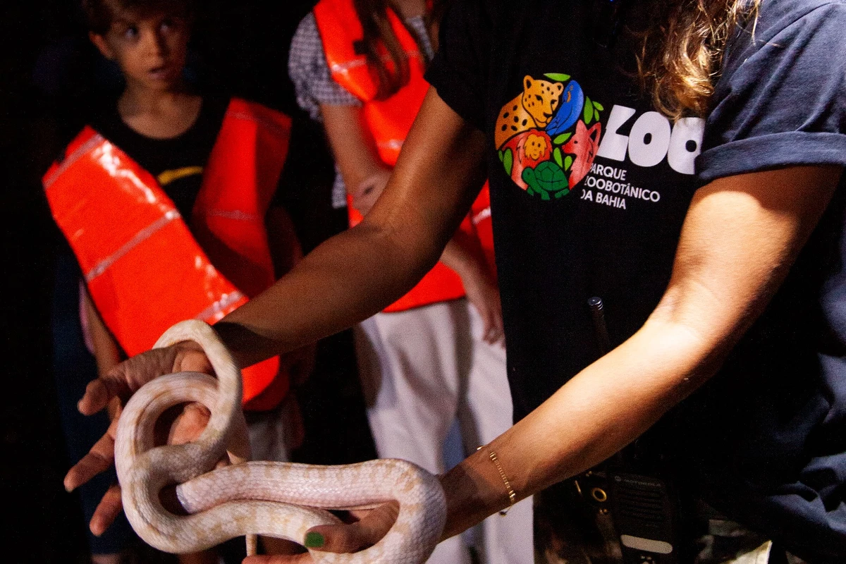 Pérola, a cobra-do-milho por Sora Maia/CORREIO 