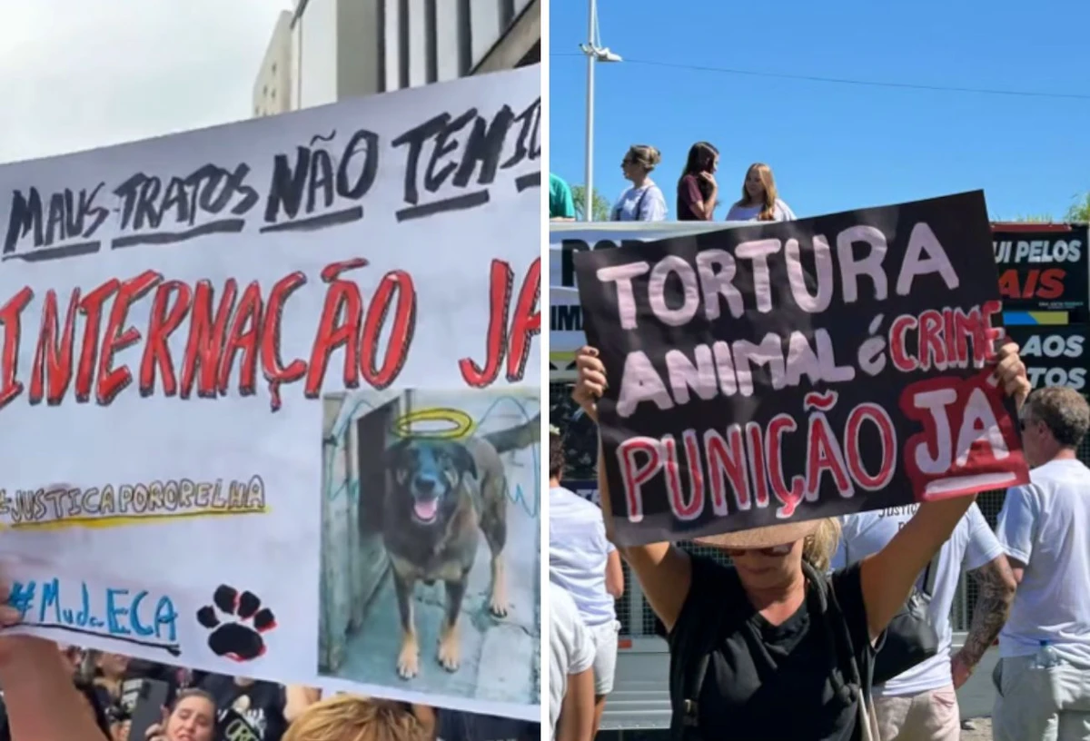 Atos em protesto pela morte de Orelha foram realizados em siversas 