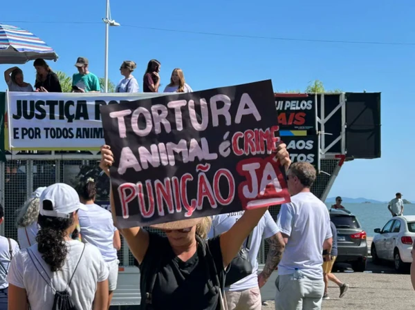 Florianópolis, Santa Catarina por Reprodução