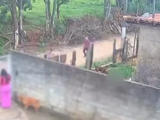 Imagem - Bebê de 11 meses morre após ser mordido e arrastado por pitbull dentro de casa